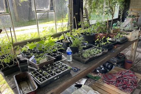 Robijnsbosnieuws nr. 24, Open dag op 25 Mei 11.00 – 15.00